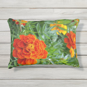 farbenfrohe Marigold Kissen Für Draußen