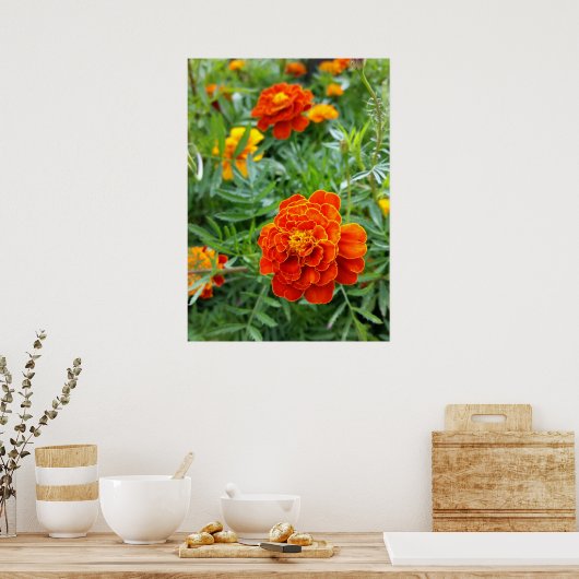 farbenfrohe Marigold Poster (Küche)