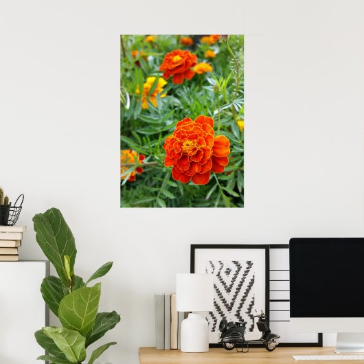 farbenfrohe Marigold Poster (Heimbüro)