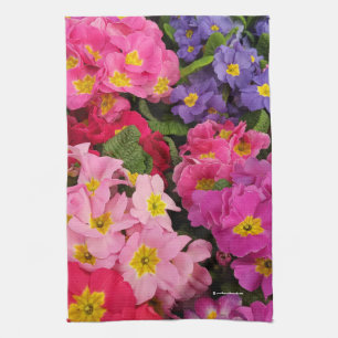 Farbenfrohe Medley Pink Blue Lila Primula Blume Geschirrtuch