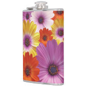 Farbenfrohe Medley von African Daisies Blume Flachmann (Links)