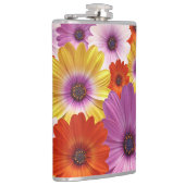 Farbenfrohe Medley von African Daisies Blume Flachmann (Rechts)