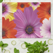 Farbenfrohe Medley von African Daisies Blume Geschirrtuch (Gefaltet)