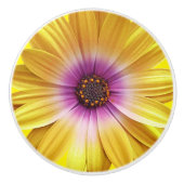 Farbenfrohe Medley von African Daisies Blume Keramikknauf (Vorderseite)