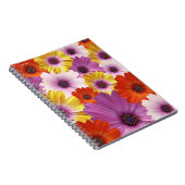 Farbenfrohe Medley von African Daisies Blume Notizblock (Rechte Seite)