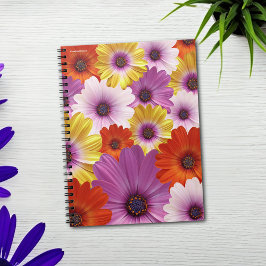 Farbenfrohe Medley von African Daisies Blume Notizblock