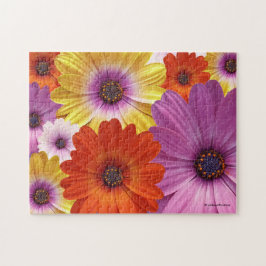 Farbenfrohe Medley von African Daisies Blume Puzzle
