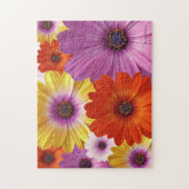Farbenfrohe Medley von African Daisies Blume Puzzle (Vertikal)