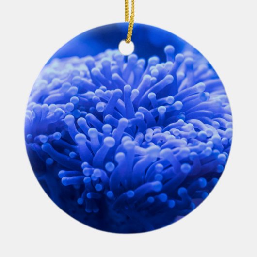 Farbenfrohe Meeresfrüchte Keramik Ornament (Vorne)