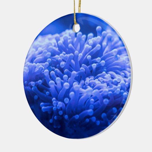 Farbenfrohe Meeresfrüchte Keramik Ornament (Links)