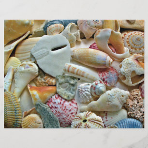 Farbenfrohe Meeresmuscheln Scrapbook Seiten Bastel