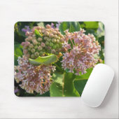 Farbenfrohe Milkweed Pom Poms Mousepad (Mit Mouse)