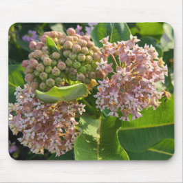 Farbenfrohe Milkweed Pom Poms Mousepad