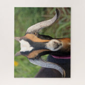 Farbenfrohe Mini Nubian Milchziege Kind Puzzle (Vertikal)