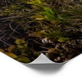 Farbenfrohe Modern Foto Nature Motivation Poster (Ecke)