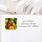 Farbenfrohe Monarchschmetterlinge, Personalisiert (Insitu)