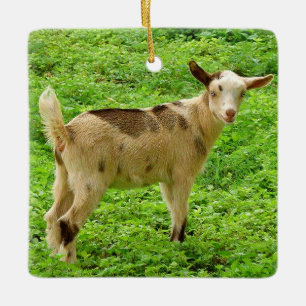 Farbenfrohe Moonspotted Nigerian Zwarf Dairy Goat Keramikornament