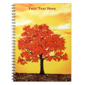 farbenfrohe Morgenoak Notizblock (Vorderseite)
