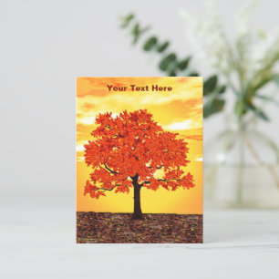 farbenfrohe Morgenoak Postkarte