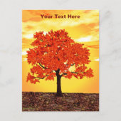 farbenfrohe Morgenoak Postkarte (Vorderseite)