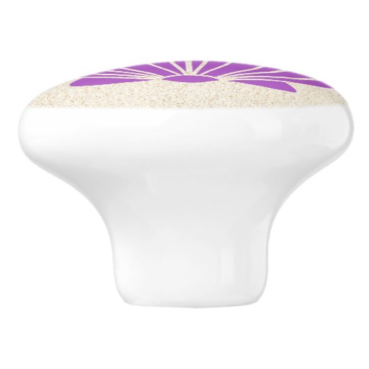 Farbenfrohe Muschel Scallop Schubknöpfe Keramikknauf (Seitenansicht)