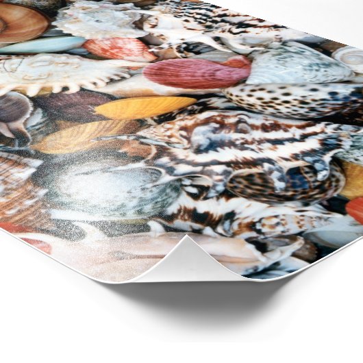 Farbenfrohe Muscheln Fotodruck (Ecke)