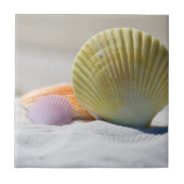 Farbenfrohe Muscheln im Sand Fliese (Vorderseite)