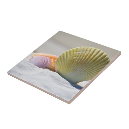 Farbenfrohe Muscheln im Sand Fliese (Seite)