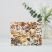 Farbenfrohe Muscheln Postkarte (Stehend Vorderseite)
