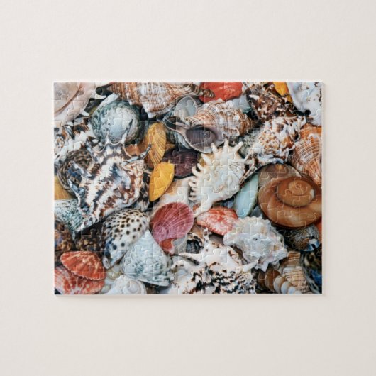 Farbenfrohe Muscheln Puzzle (Horizontal)