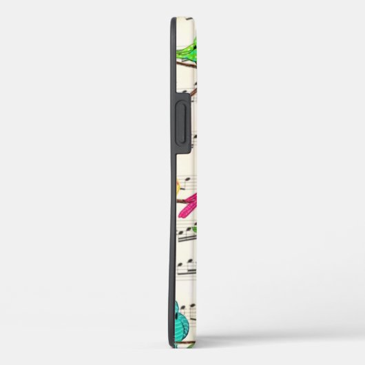 Farbenfrohe Musical Birds iPhone Case (Rückseite / Rechts)