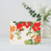 Farbenfrohe Nasturtium-Blume Postkarte (Stehend Vorderseite)