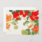 Farbenfrohe Nasturtium-Blume Postkarte (Vorne/Hinten)