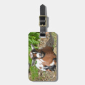 Farbenfrohe nigerianische Zwergziege Gepäckanhänger (Vorderseite vertikal)