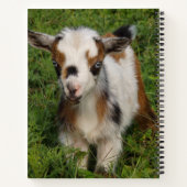 Farbenfrohe nigerianische Zwergziege mit blauen Au Notizblock (Rückseite)