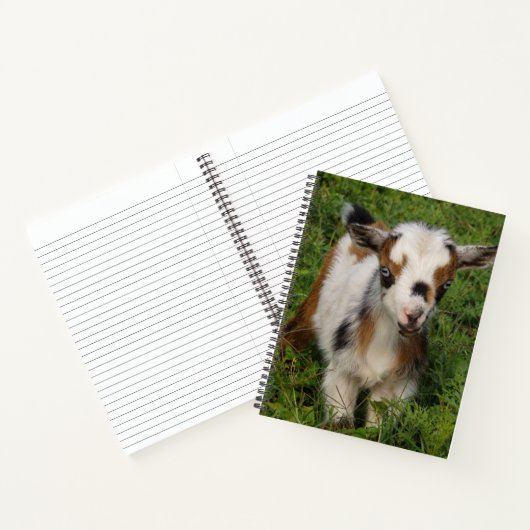 Farbenfrohe nigerianische Zwergziege mit blauen Au Notizblock (Innenseite)