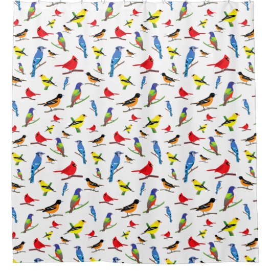 Farbenfrohe nordamerikanische Vogelmuster Duschvorhang (Vorderseite)