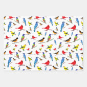Farbenfrohe nordamerikanische Vogelmuster Geschenkpapier Set (Vorderseite 3)