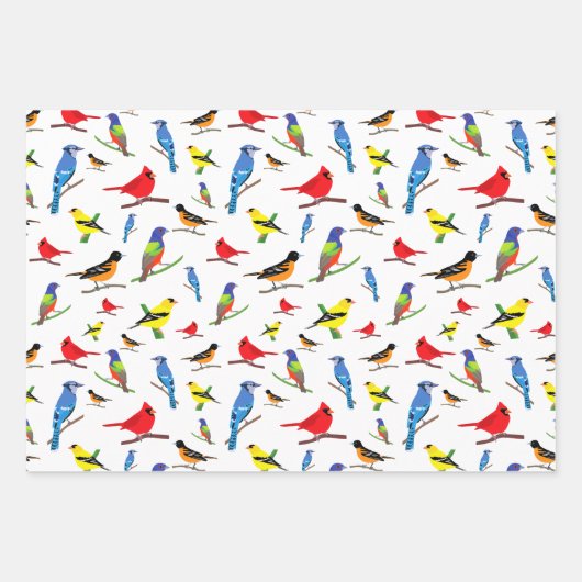 Farbenfrohe nordamerikanische Vogelmuster Geschenkpapier Set (Vorderseite 3)