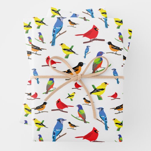 Farbenfrohe nordamerikanische Vogelmuster Geschenkpapier Set (Beispiel)