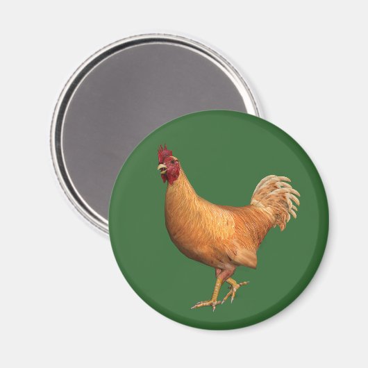 Farbenfrohe Orange Rooster Magnet (Vorderseite/Rückseite)