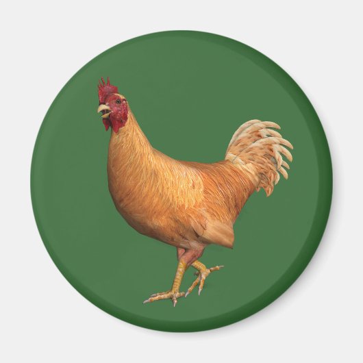 Farbenfrohe Orange Rooster Magnet (Vorne)