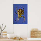 Farbenfrohe Orb Spider Poster (Küche)