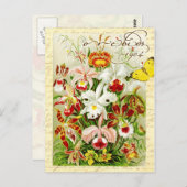 Farbenfrohe Orchideen und gelber Schmetterling Postkarte (Vorne/Hinten)