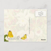 Farbenfrohe Orchideen und gelber Schmetterling Postkarte (Rückseite)