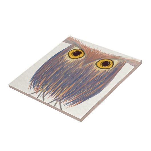 Farbenfrohe Owl Wasserfarbenmalerei Fliese (Seite)
