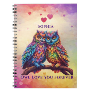 Farbenfrohe Owls-Love Birds-Valentinstag Geschenk- Notizblock