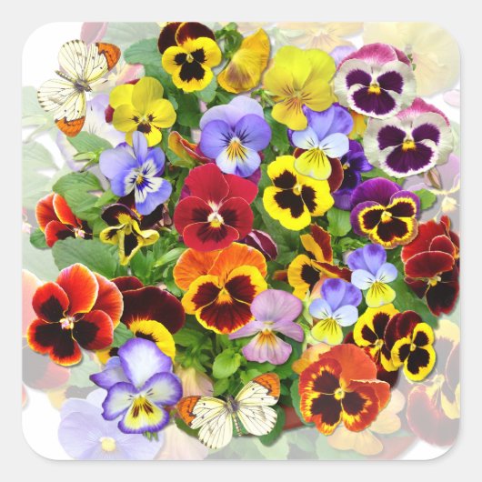 Farbenfrohe Pansy-Arrangement mit Schmetterlingen Quadratischer Aufkleber (Vorderseite)