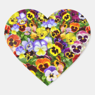 Farbenfrohe Pansy Display Herz Herz-Aufkleber
