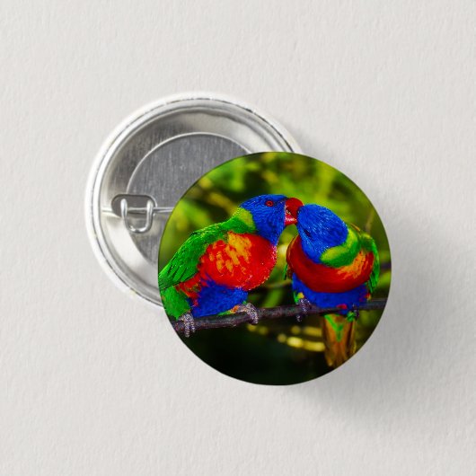 Farbenfrohe Papageien Button (Vorne & Hinten)